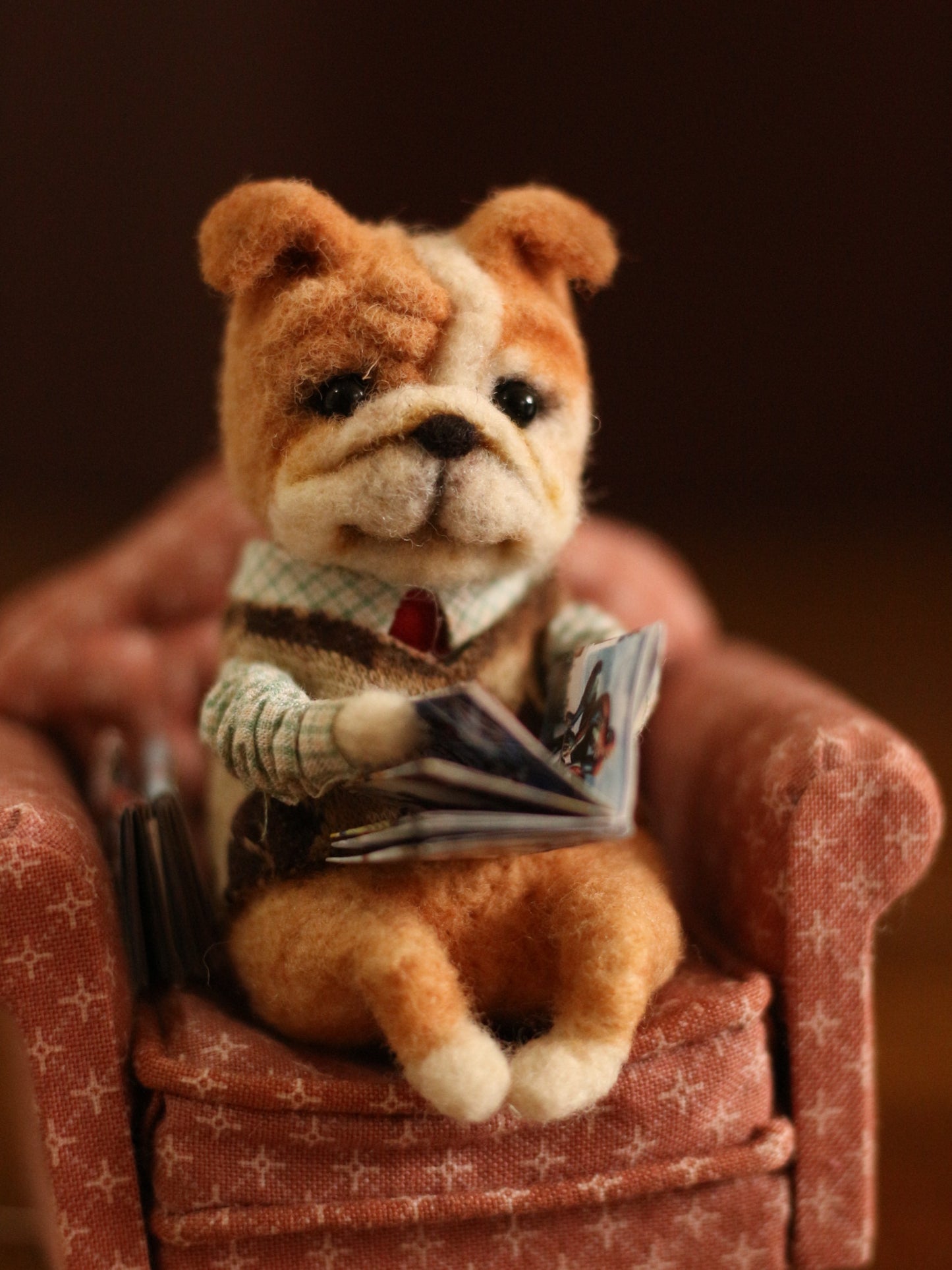 Bull dog reading comic