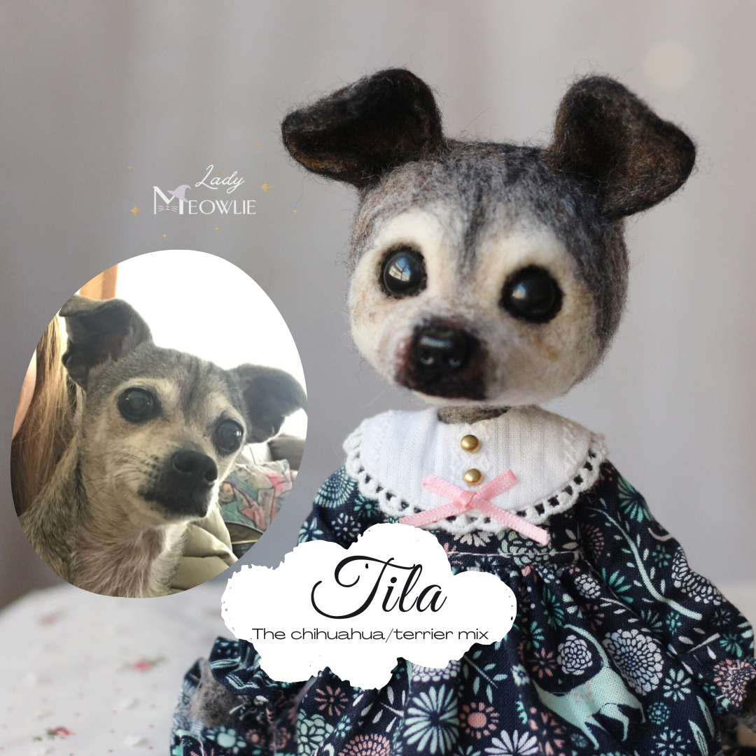 Stuffed animal resembling a dog , next to a photo of a real dog named Lady Meowlie.