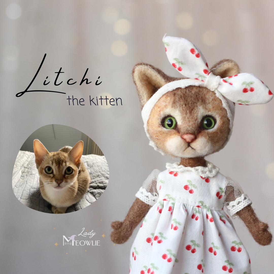 Stuffed cat toy with a dress and bow, next to a photo of a real cat, on a light background.