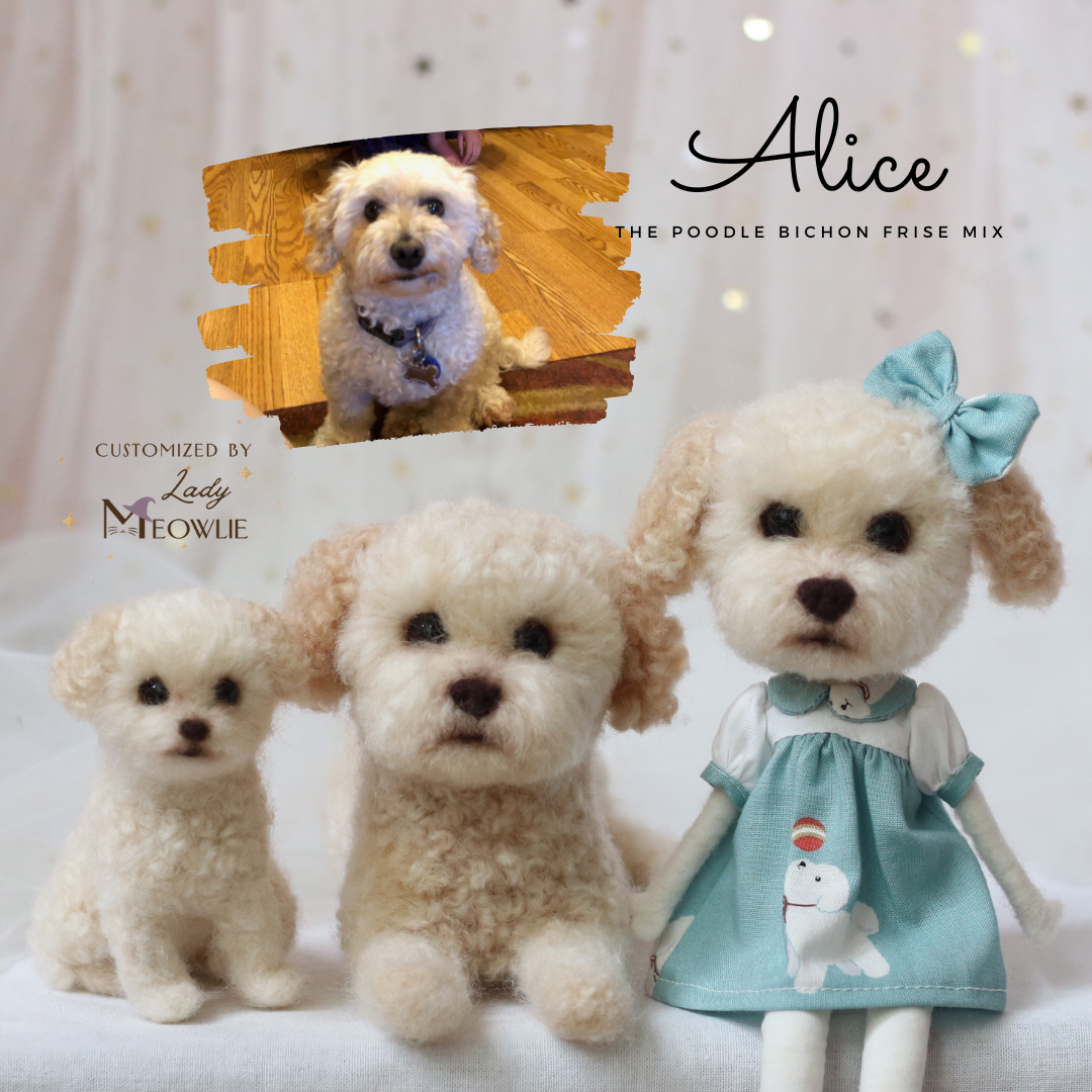 Three toy replica dogs with a photo of a real bichon dog 