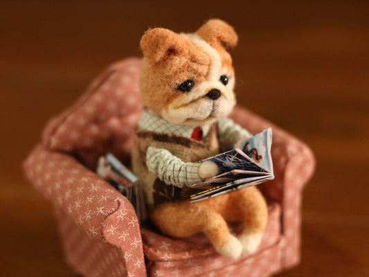 Bull dog reading comic