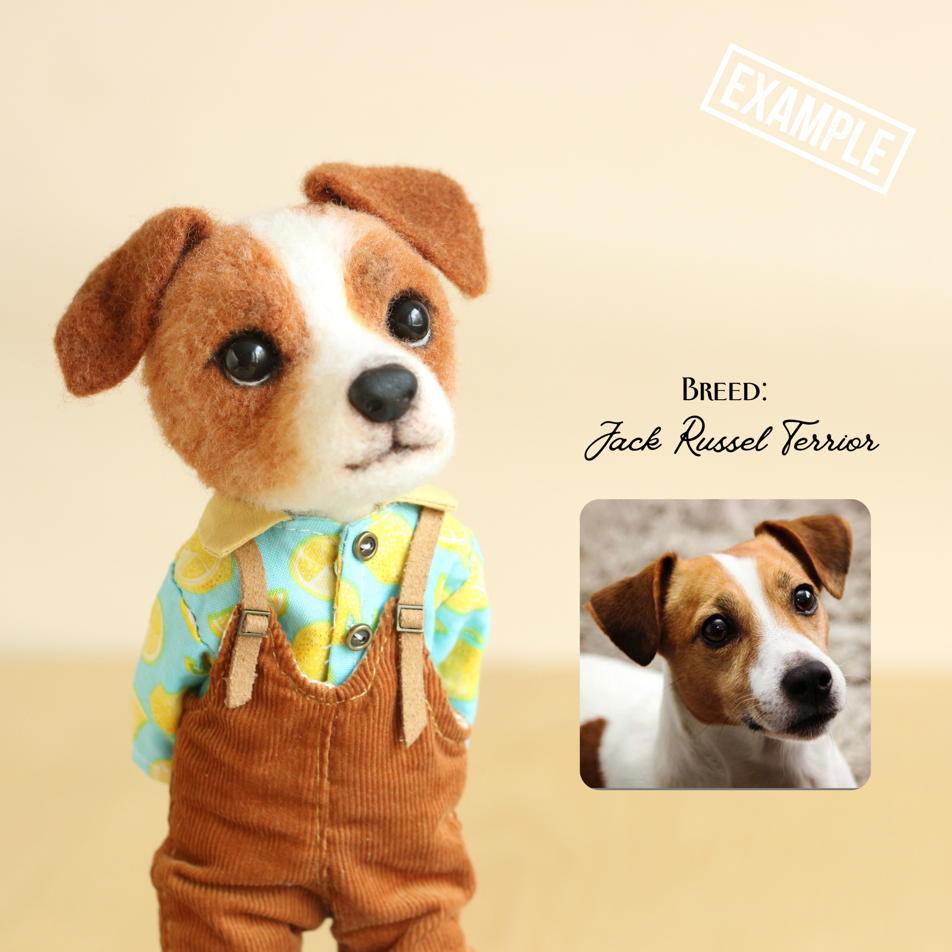Stuffed toy dog in a outfit with a small inset photo of a real Jack Russell Terrier on a beige background.