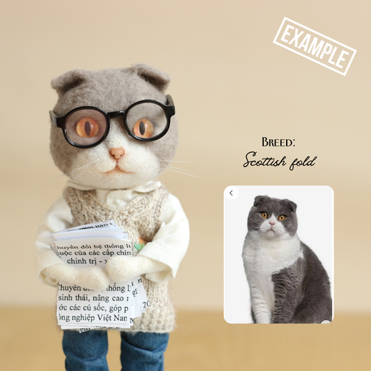 Stuffed toy resembling a Scottish fold cat with glasses and a card, next to a photo of a real Scottish fold cat.